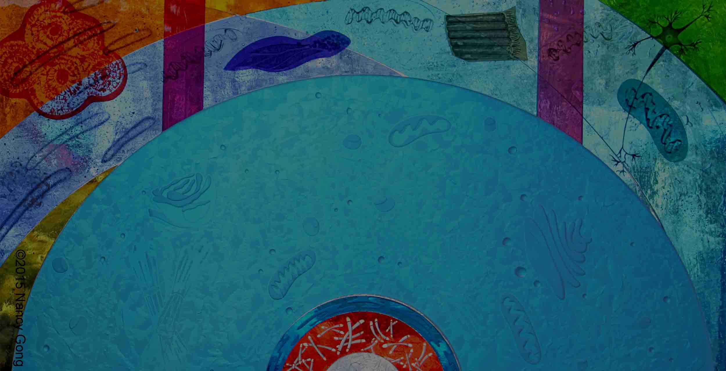 Donor Recognition Wall