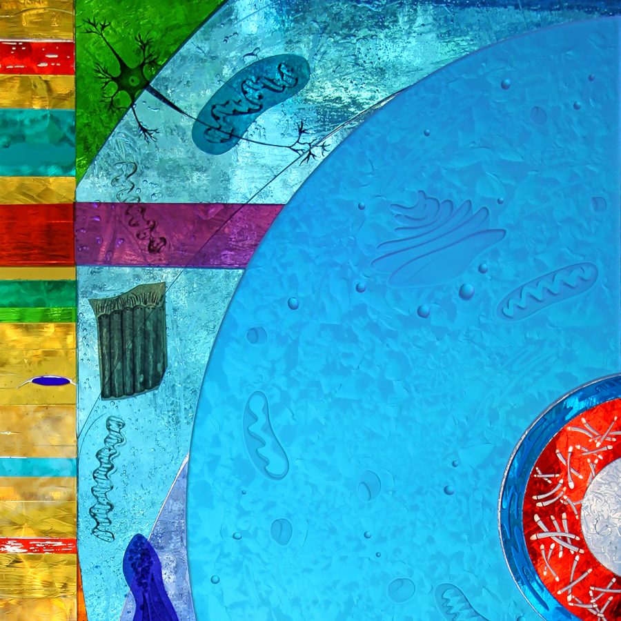 TeloMeMitoWho Nancy Gong Glass Works